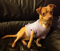 Hand Knitting Top